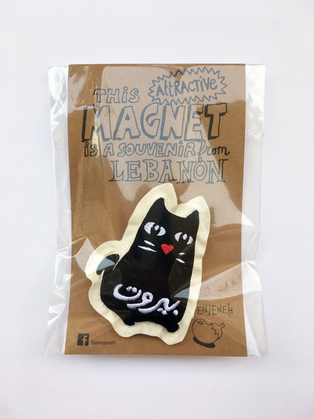 Cat Magnet